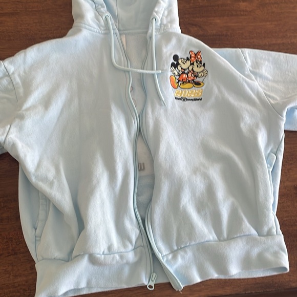 Disney World 2023 embroidered baby blue sweatshirt - Picture 8 of 14